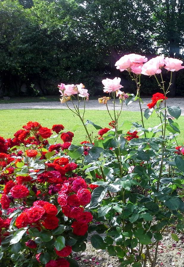 Le Logis De Ruelle Bed & Breakfast Luaran gambar
